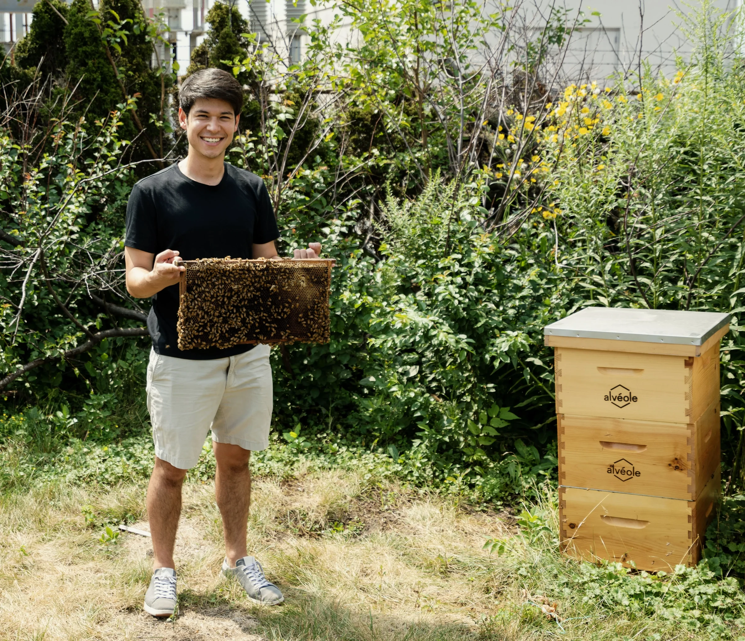 Alvéole beekeeper holding a beehive frame