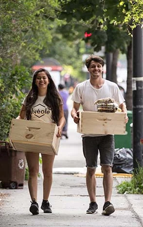 Alvéole team carrying hive boxes on a city sidewalk