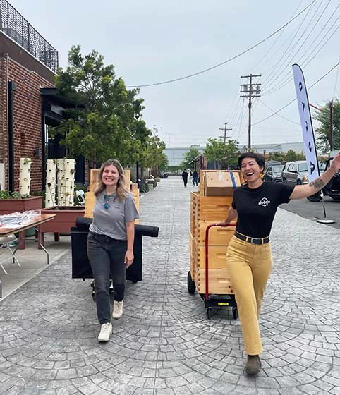 Alvéole team transporting hive boxes on a city street