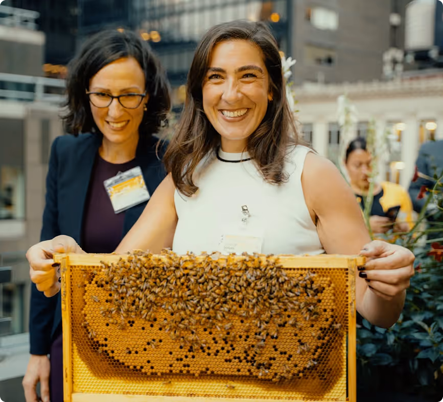 Beekeeper sharing a beehive frame moment with participants