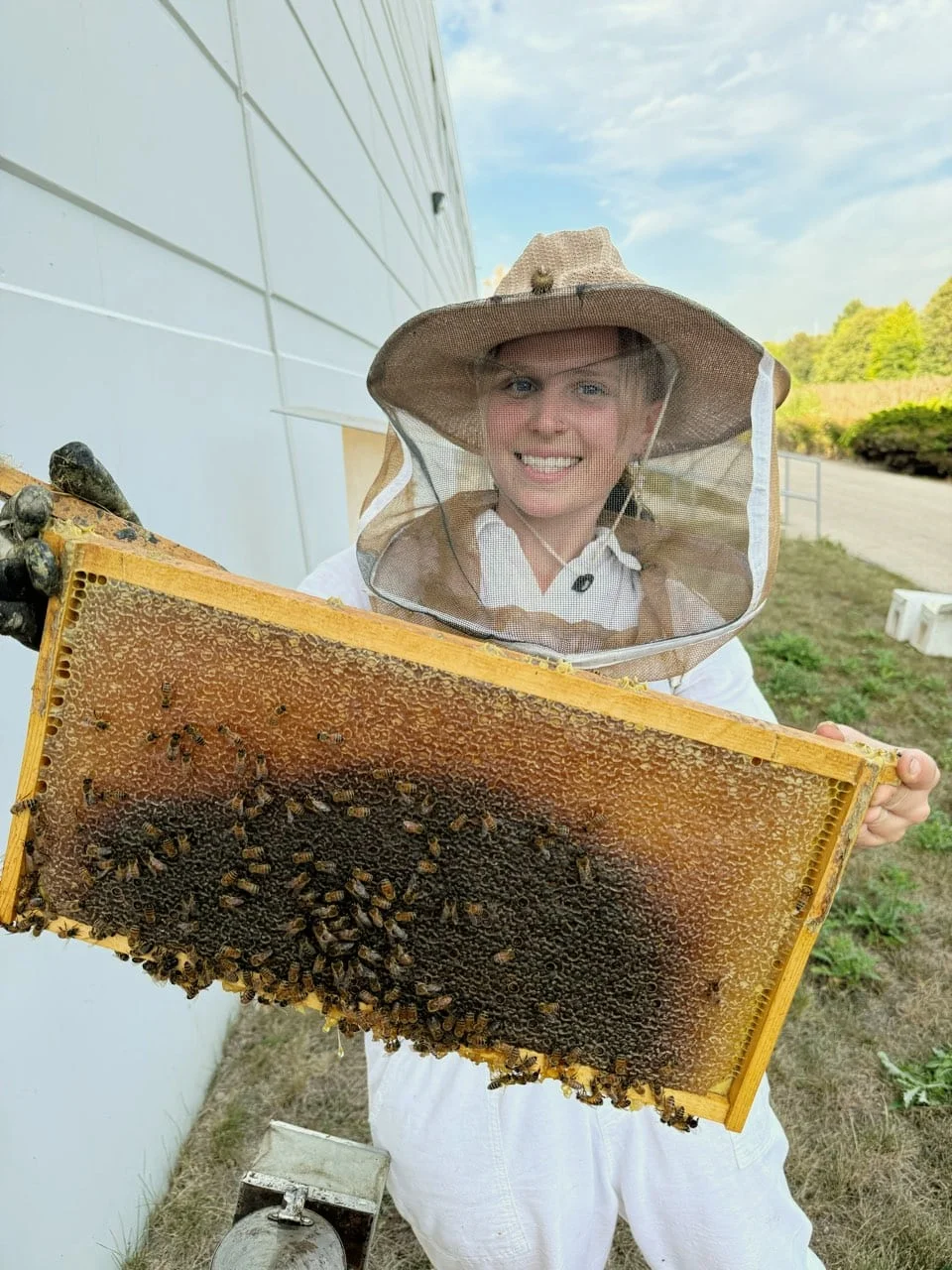 Alvéole beekeeper holding a honeycomb frame at a Realterm property