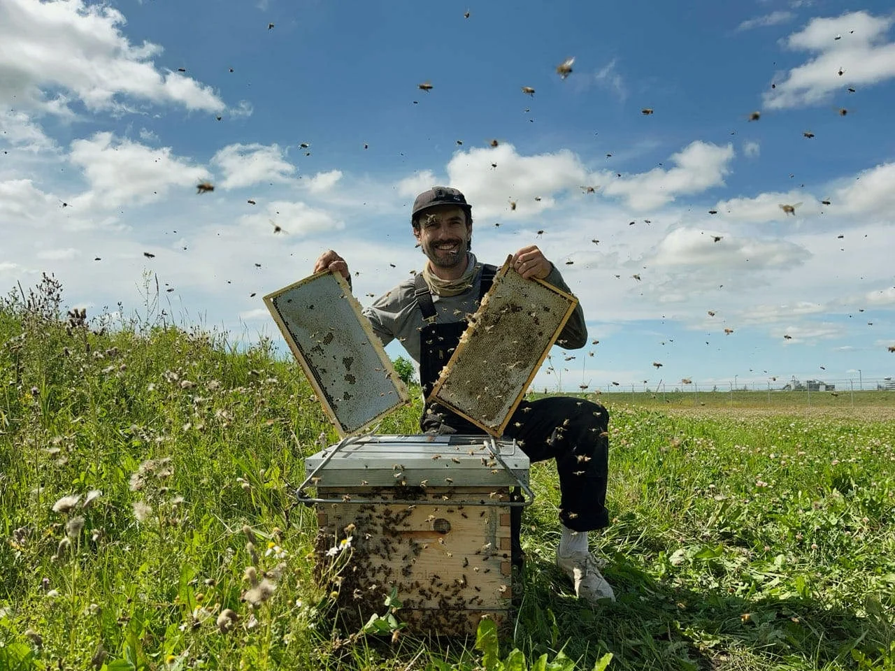 Alvéole beekeeper inspecting hives in a field at a Realterm property