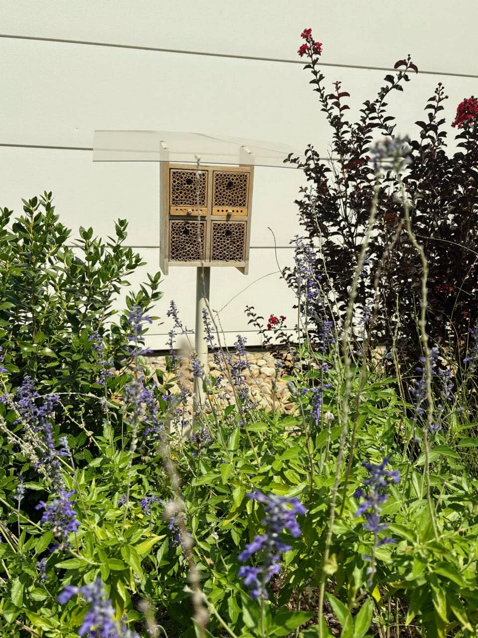 Bee hotel in a garden at a Realterm property