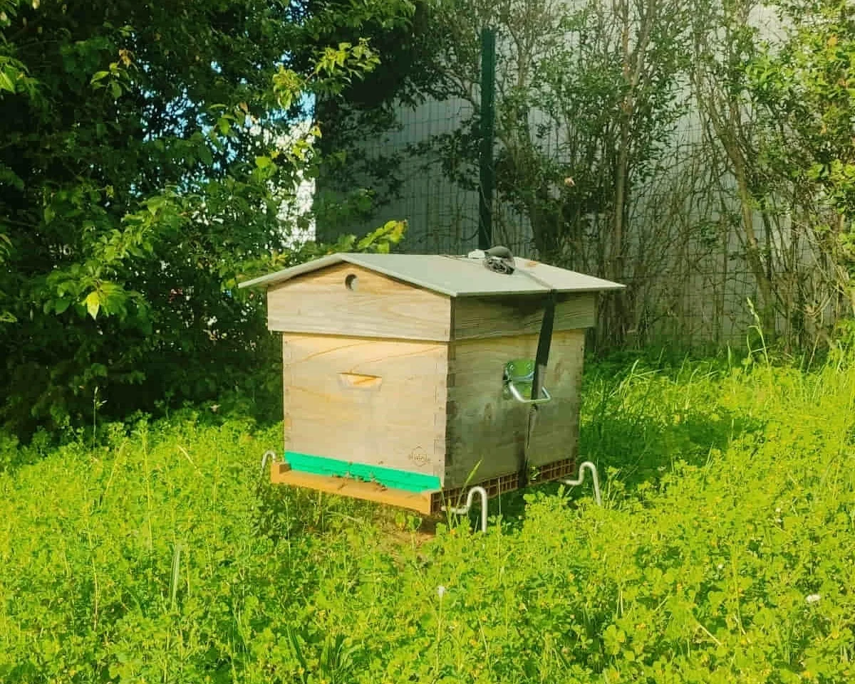 Beehive in a meadow at a Realterm property