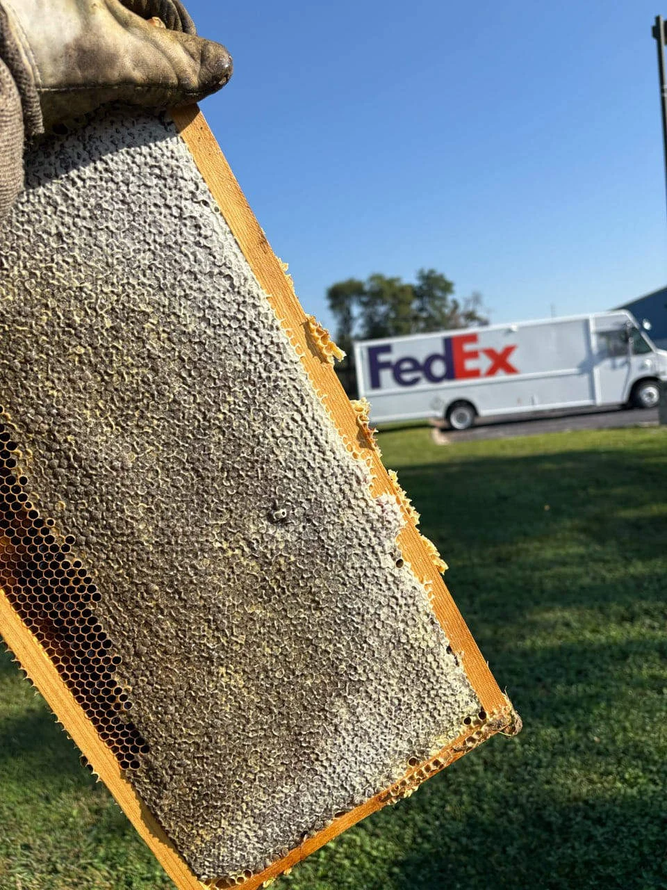 Honeycomb at a Realterm FedEx facility
