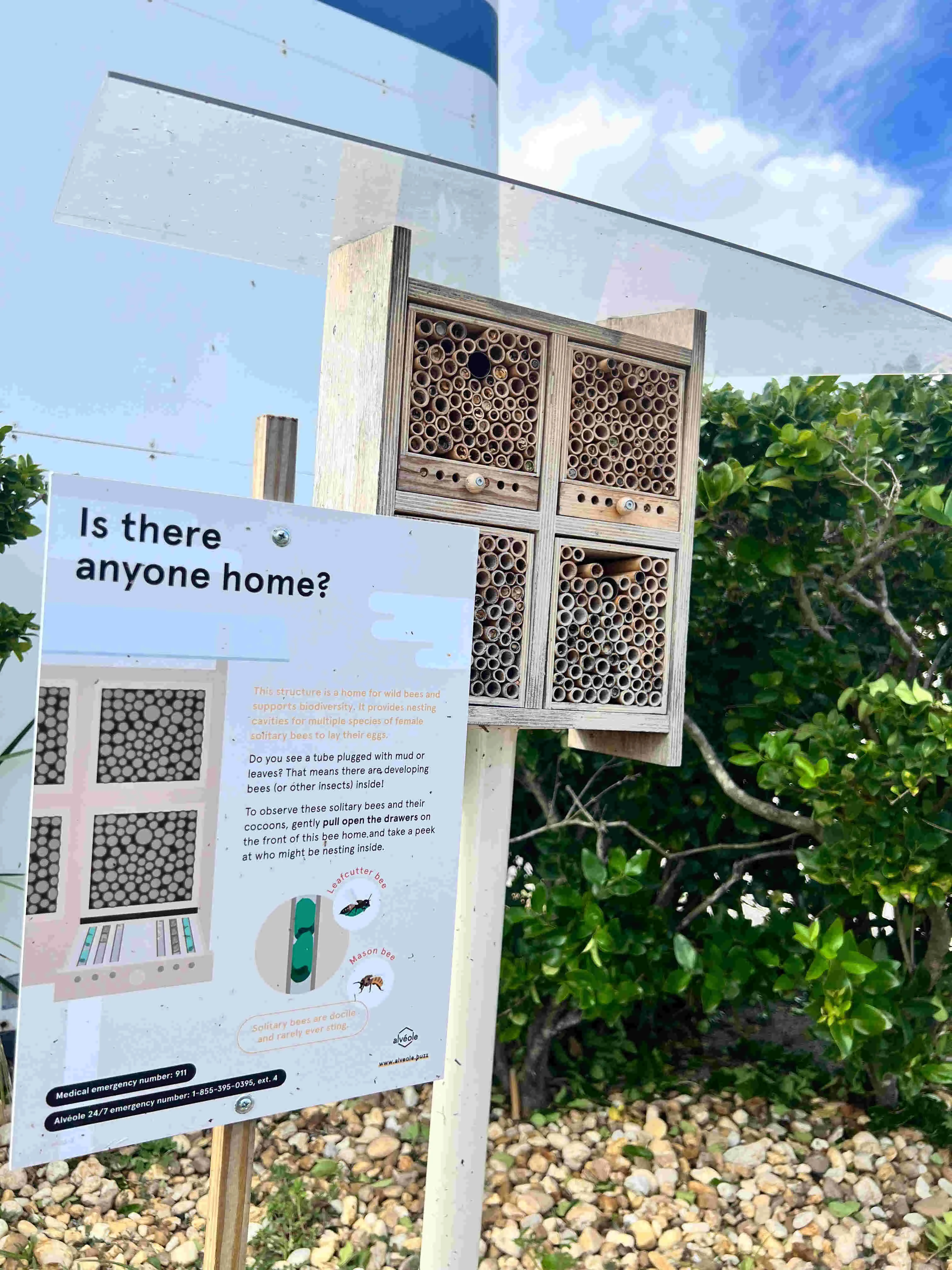 Bee hotel at Realterm Tradeport property