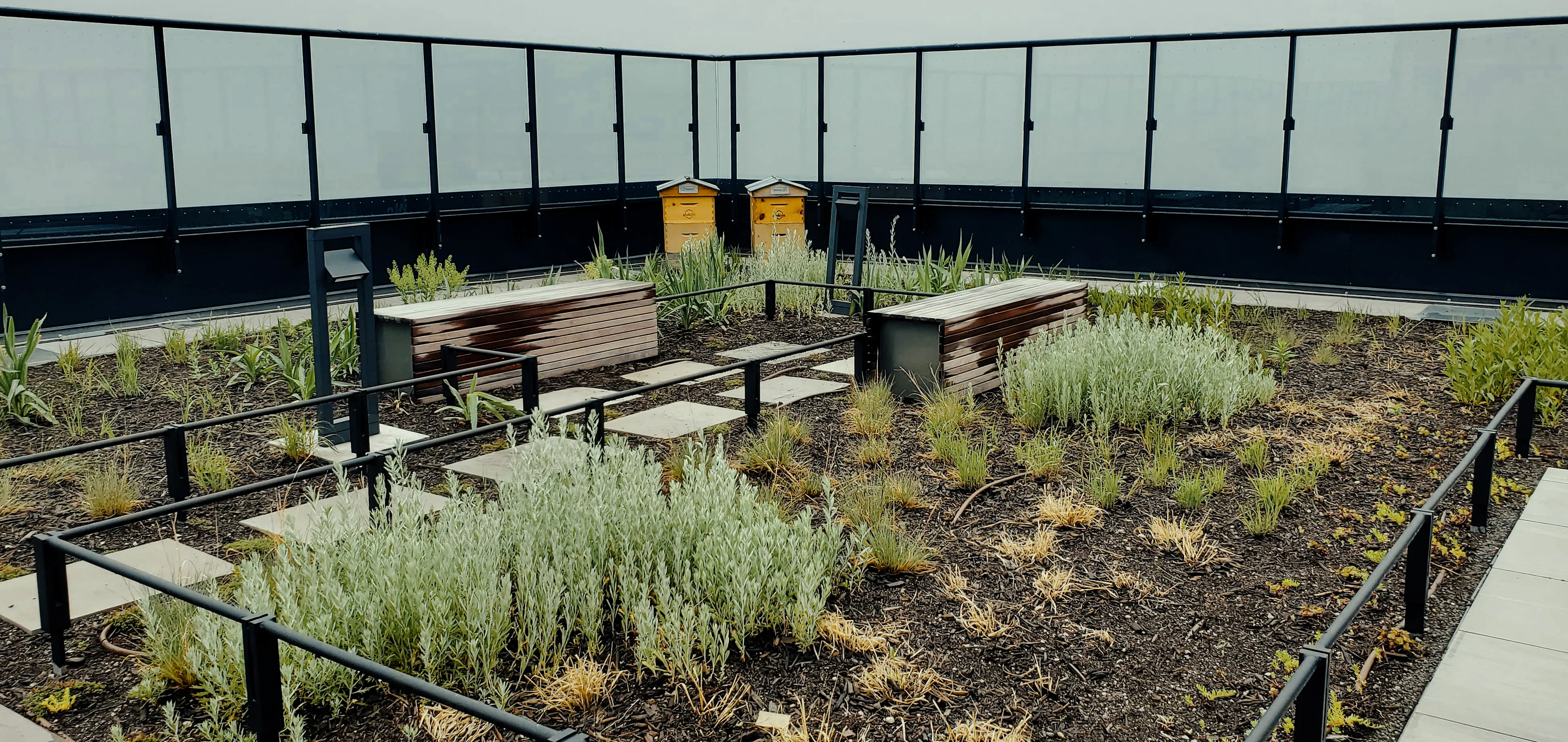 Alvéole rooftop garden in Toronto