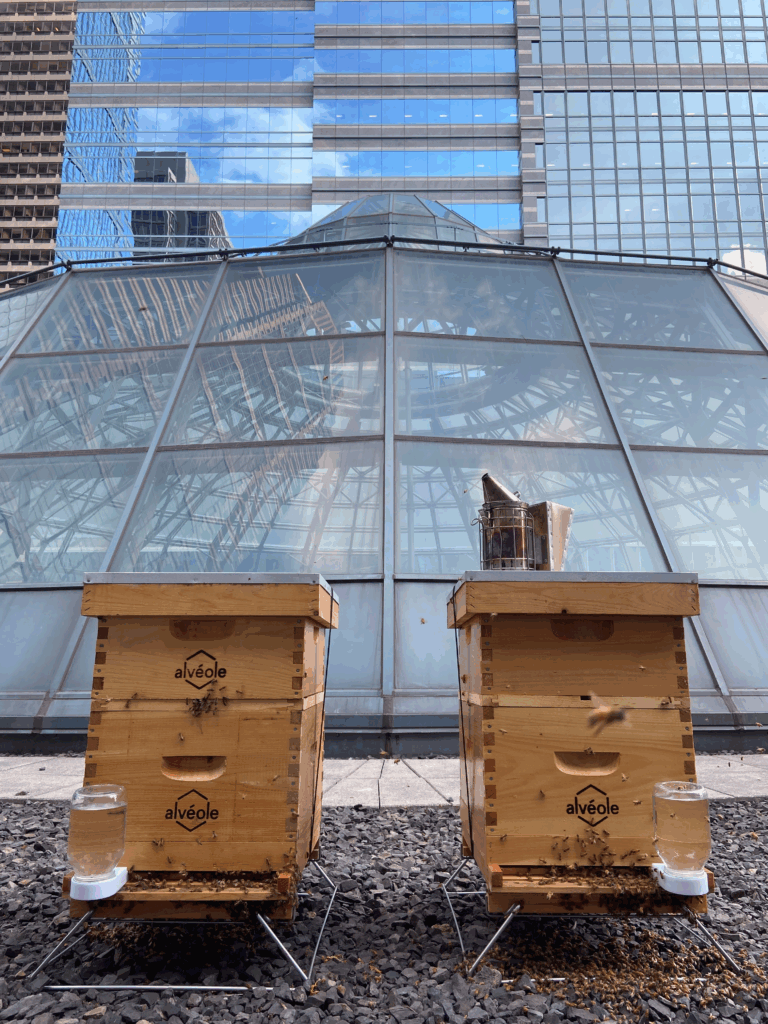 Urban Beeking au One Liberty Place à Philadelphie
