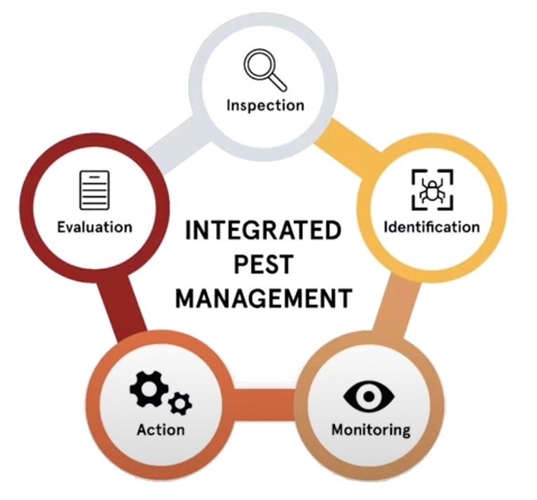 IPM principles for safe pesticide management practices