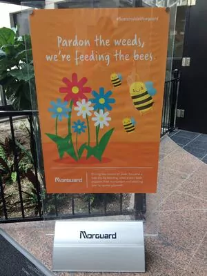 Morguard's educational signage explaining that they chose not to mow their weeds to help feed their bees. pratiques commerciales durables