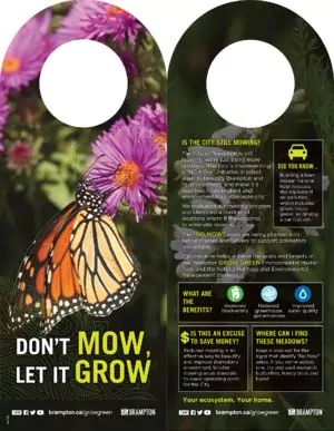 A picture of an informative brochure about pollinators. pratiques commerciales durables