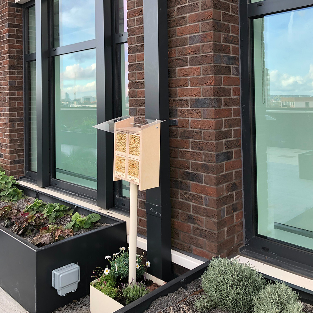 A beehome on a rooftop surrounded by greenery.