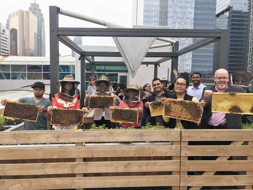 Les locataires du Metro Toronto Convention Centre tenant des cadres de ruches d'abeilles mellifères d'Alvéole.