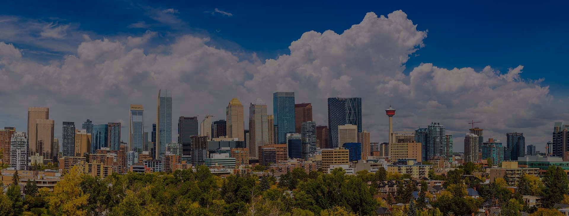 Page ville Alvéole — Calgary