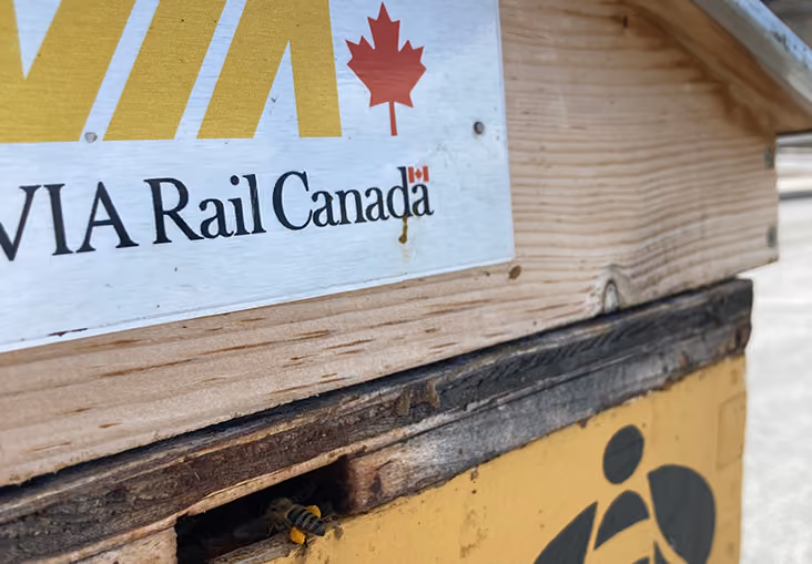 Alvéole rooftop beehive at VIA Rail's Winnipeg station