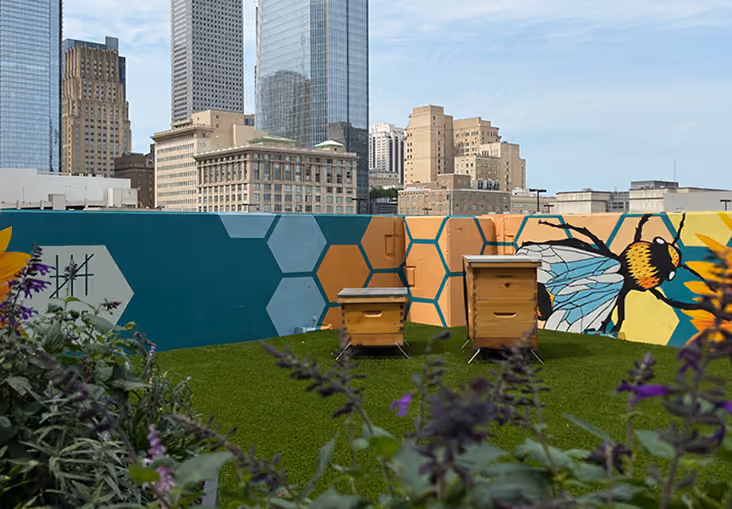 Alvéole beehives on the FIVE Houston Center rooftop garden with the downtown Houston skyline in the background