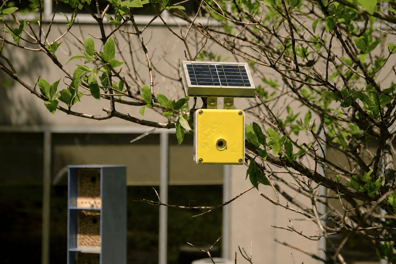 An Alvéole biodiversity sensor monitoring nature on a commercial building rooftop.