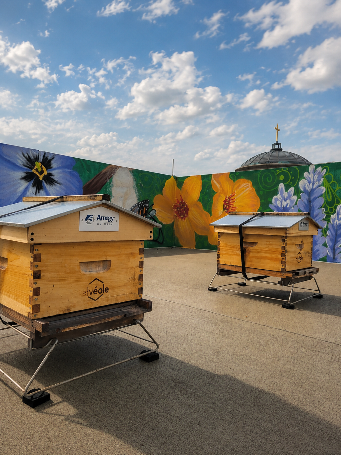 Two Alvéole beehives on a Houston rooftop with a pollinator mural in the background