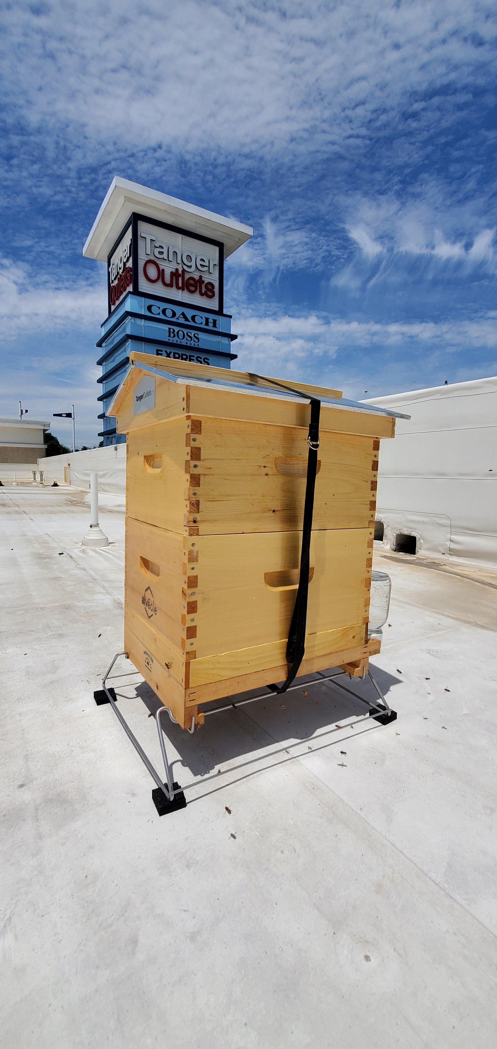 Tanger Outlets National Harbor rooftop beehive managed by Alvéole