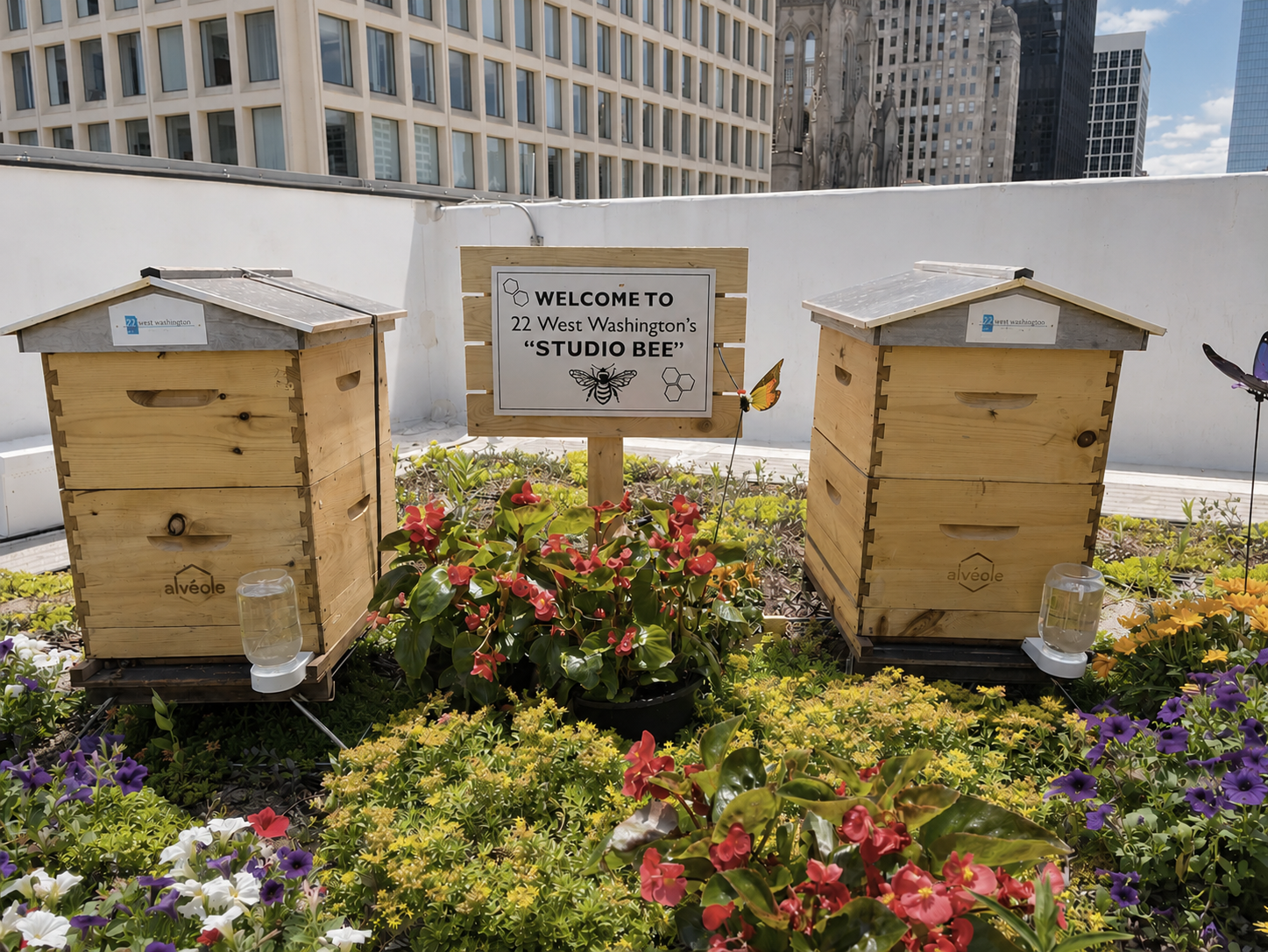 Two rooftop beehives on a Washington, D.C. commercial building managed by Alvéole