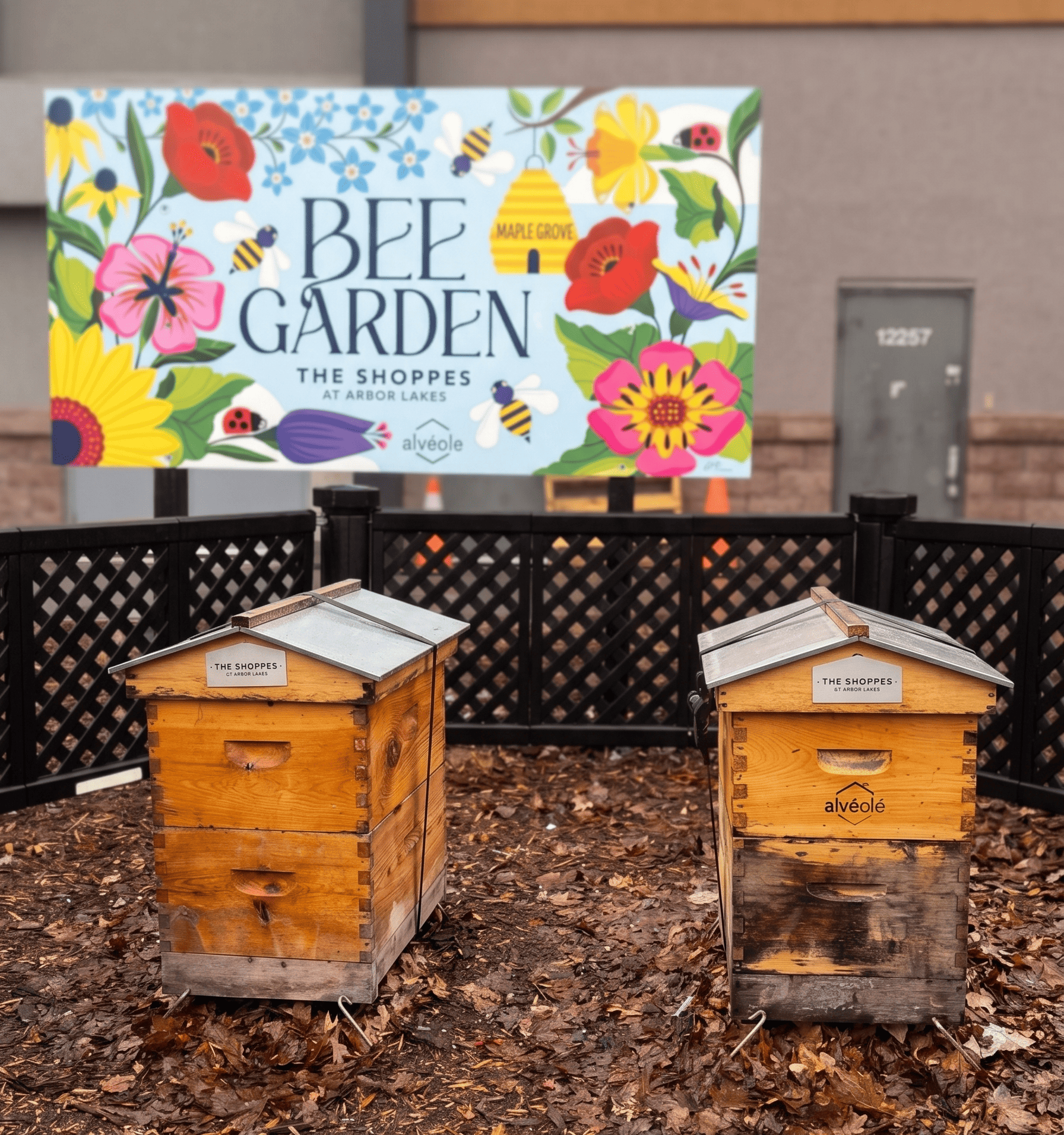 Alvéole rooftop beehives at The Shoppes at Arbor Lakes in Maple Grove