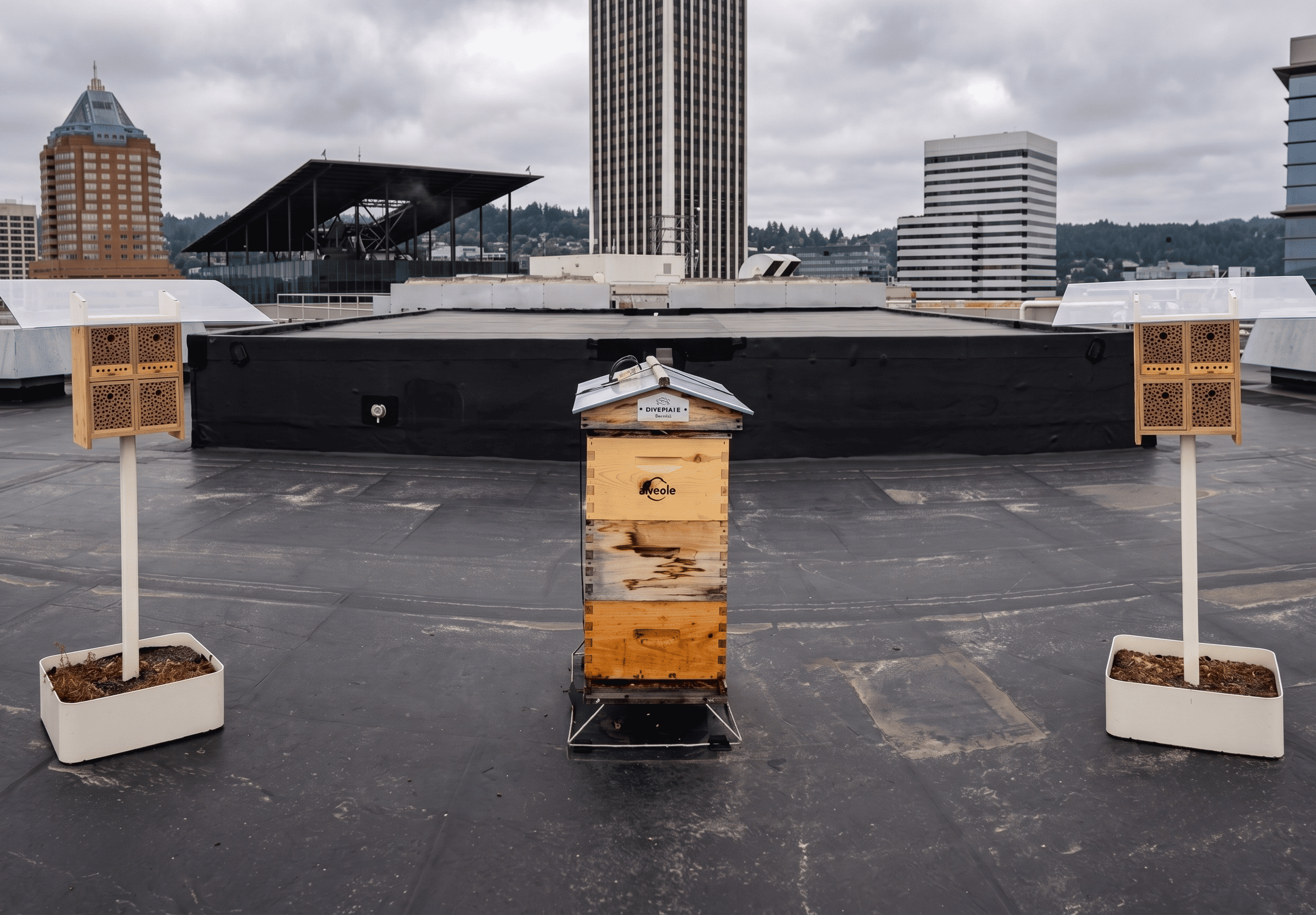 Beehomes Alvéole installés sur un toit vert à Portland