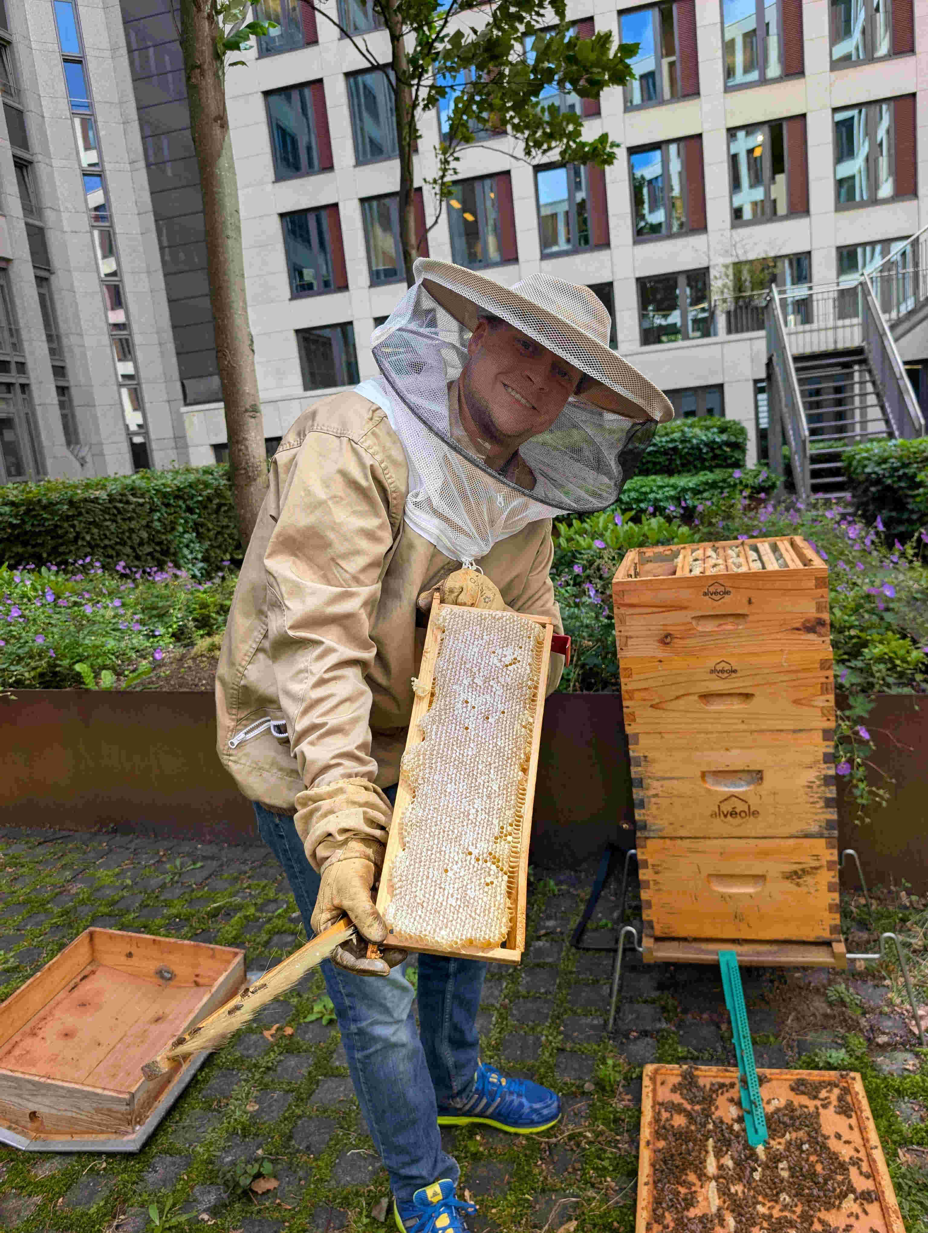 Alvéole beekeeper tending a hive in Hamburg