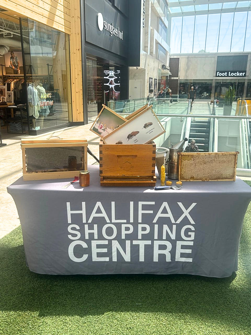 Alvéole rooftop beehive at the Halifax Shopping Centre