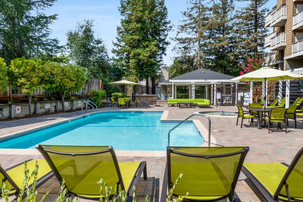 Swimming pool with lounge chairs