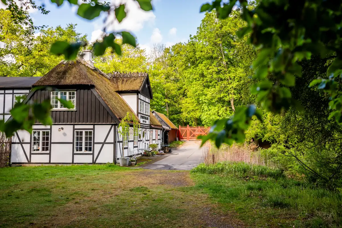 Traditionelt hvidt bindingsværkshus med stråtag omgivet af grønne træer under en blå himmel.