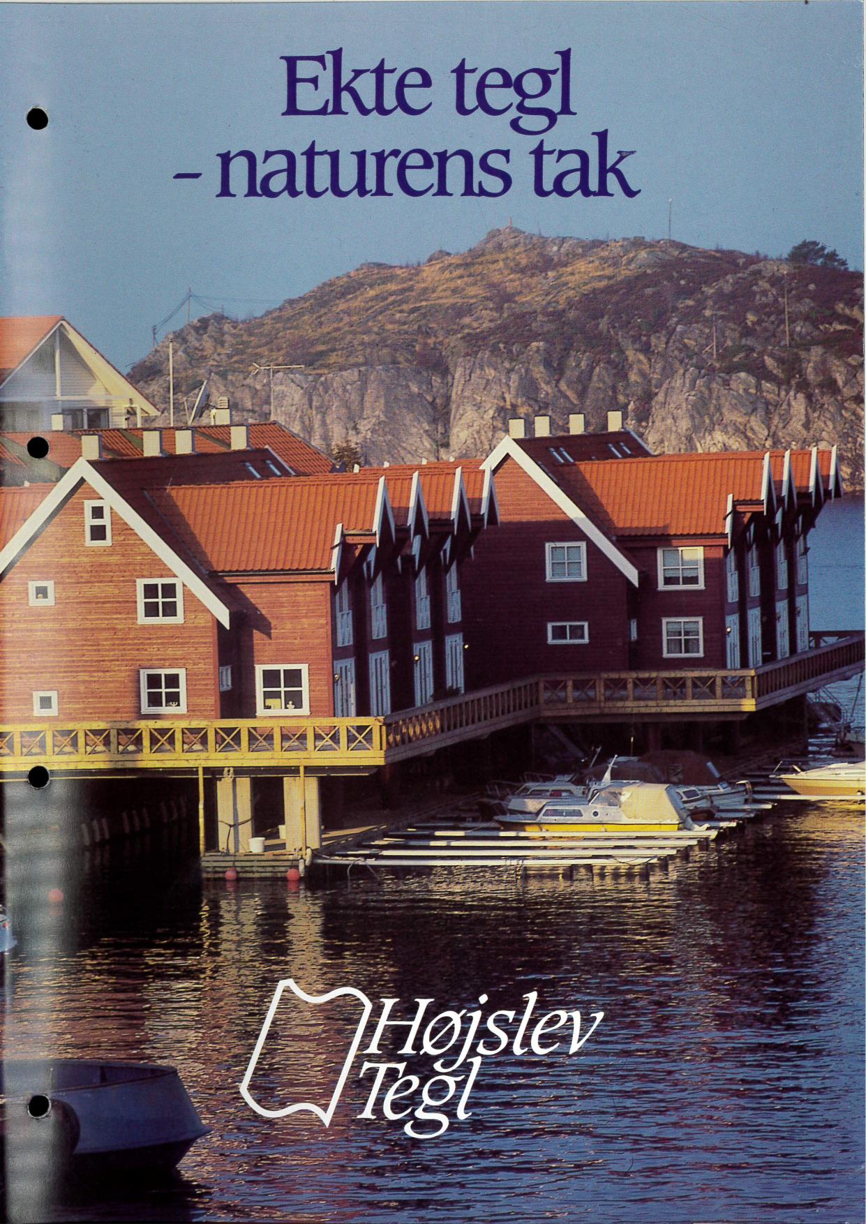 Side 1 av 3 – kapittel 9 Teglpanner – Frøystadpermen