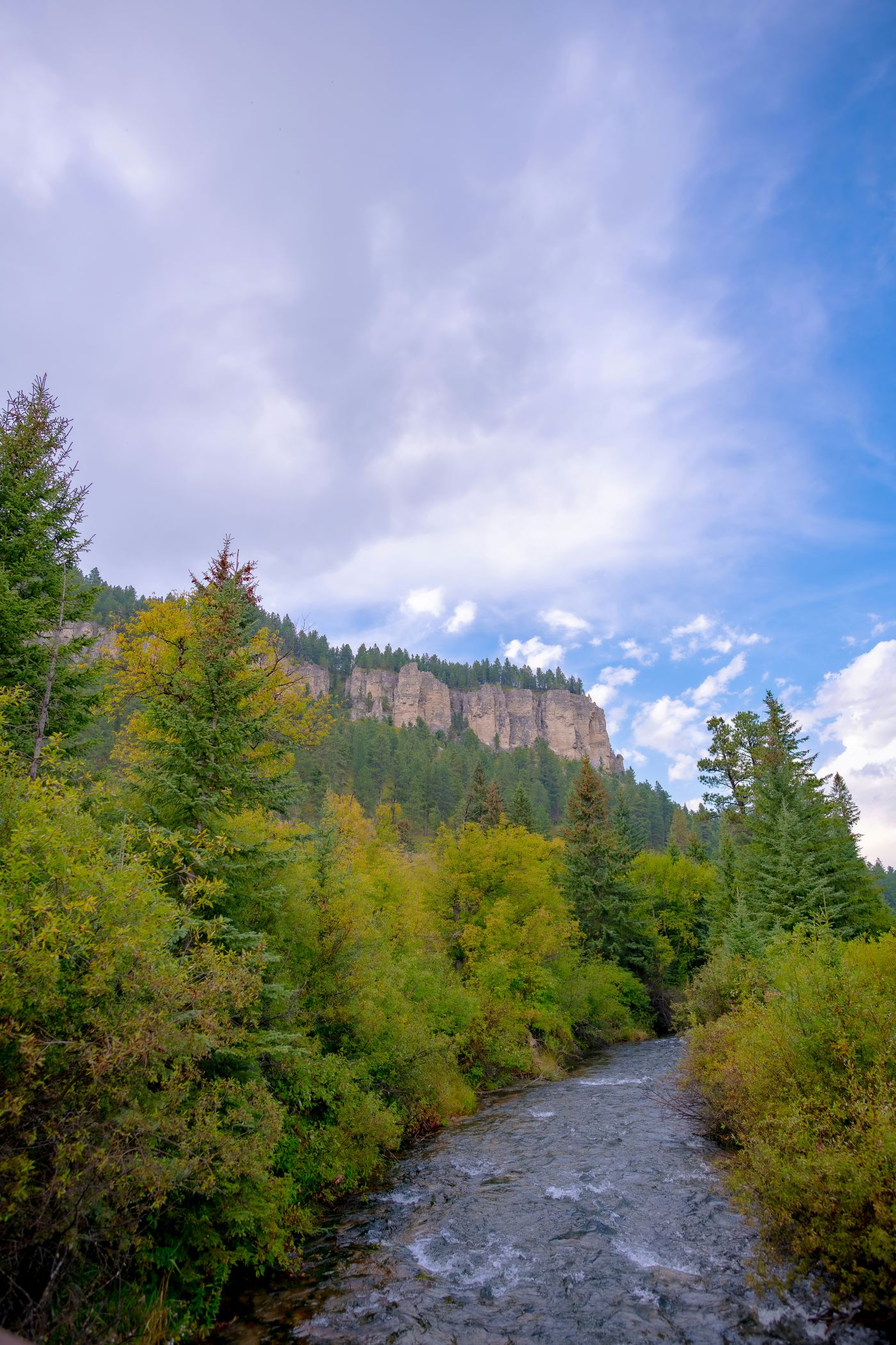 Spearfish Creek beneath the Canyon's towering limestone cliffs.