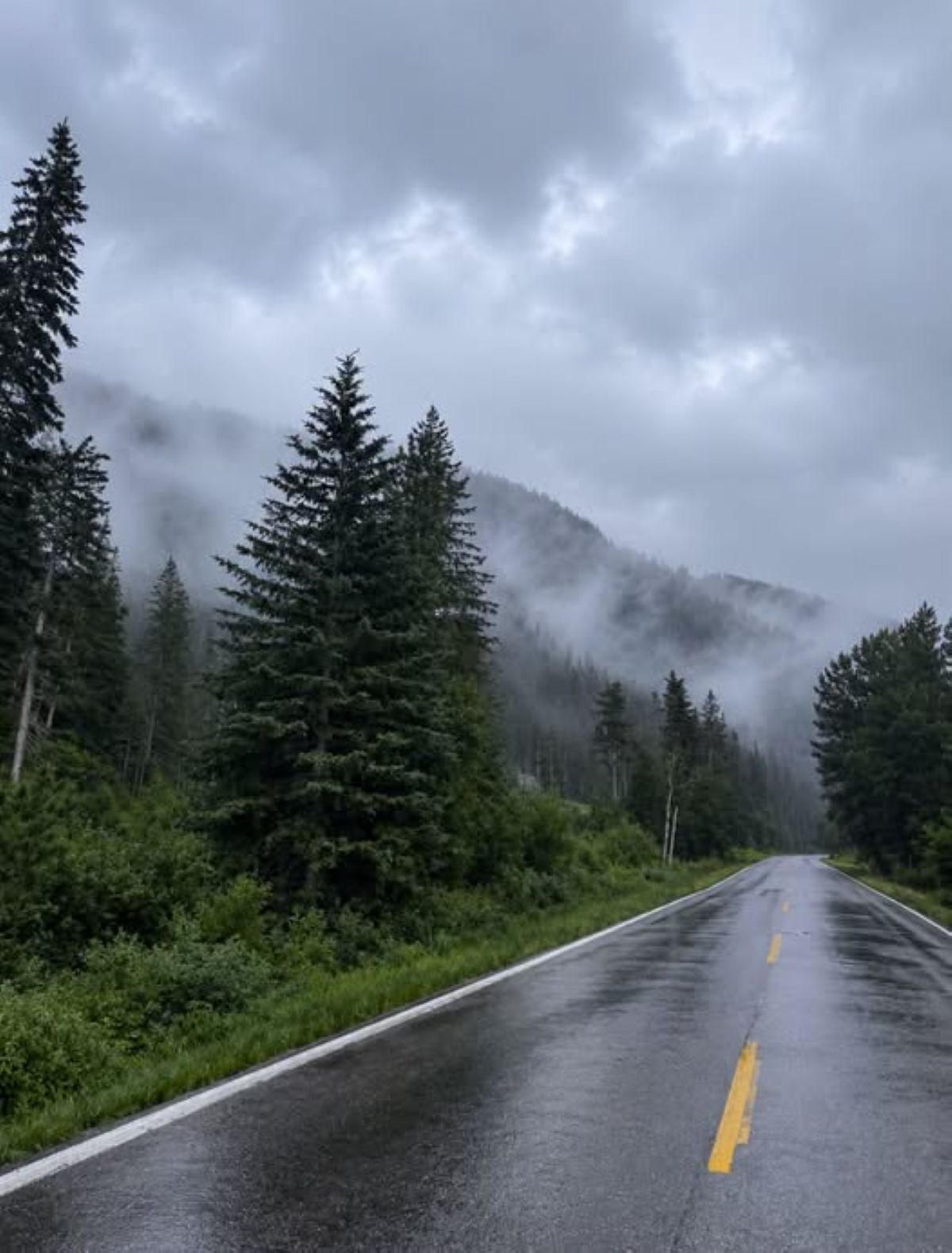 Fog rolls over the pines along Spearfish Canyon Scenic Byway after a summer rain.