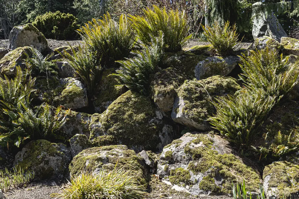 One man rock in yard landscpaing | Skaglund Quarry | Arlington, WA