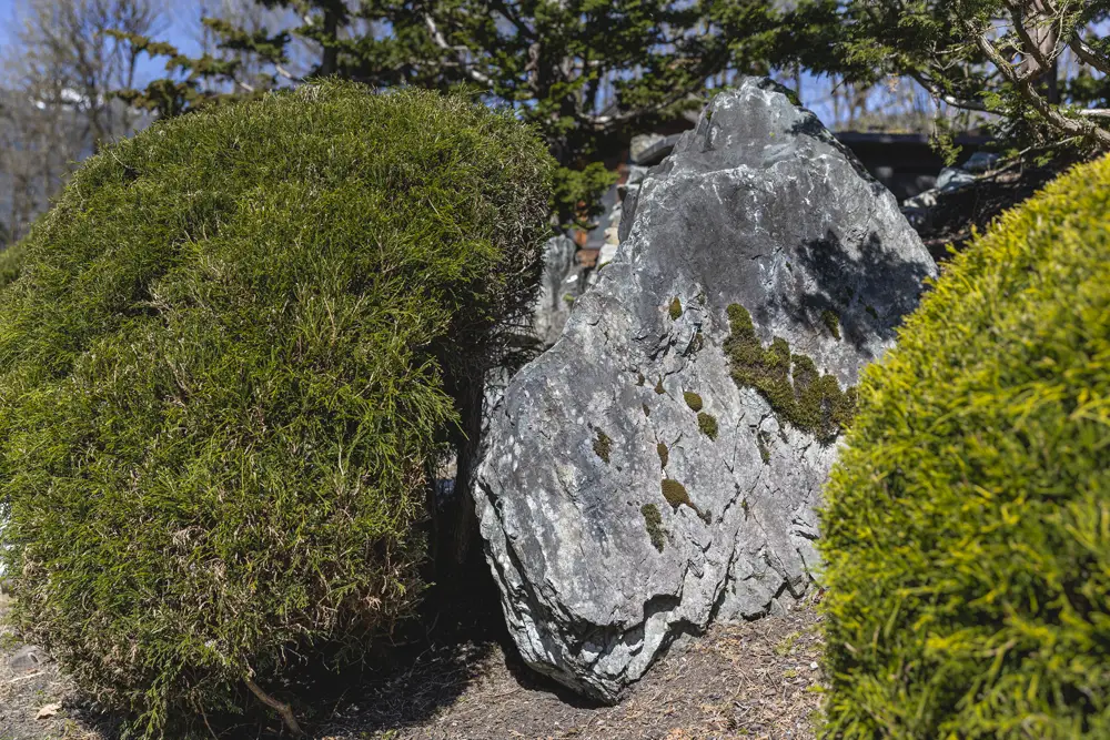 3-5 man rock as landscape focal point | Skaglund Quarry | Arlington, WA