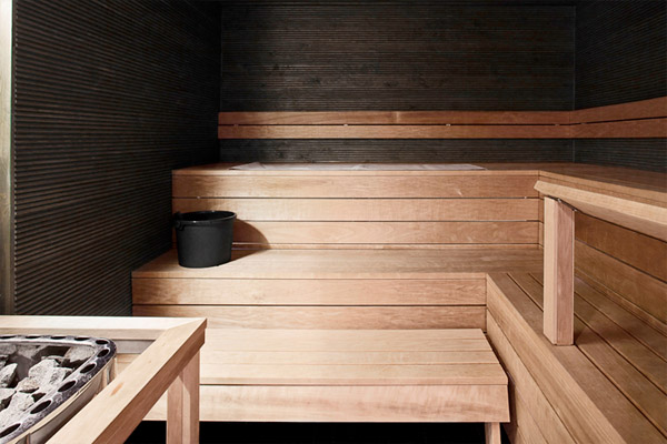 dark interior sauna with natural benches