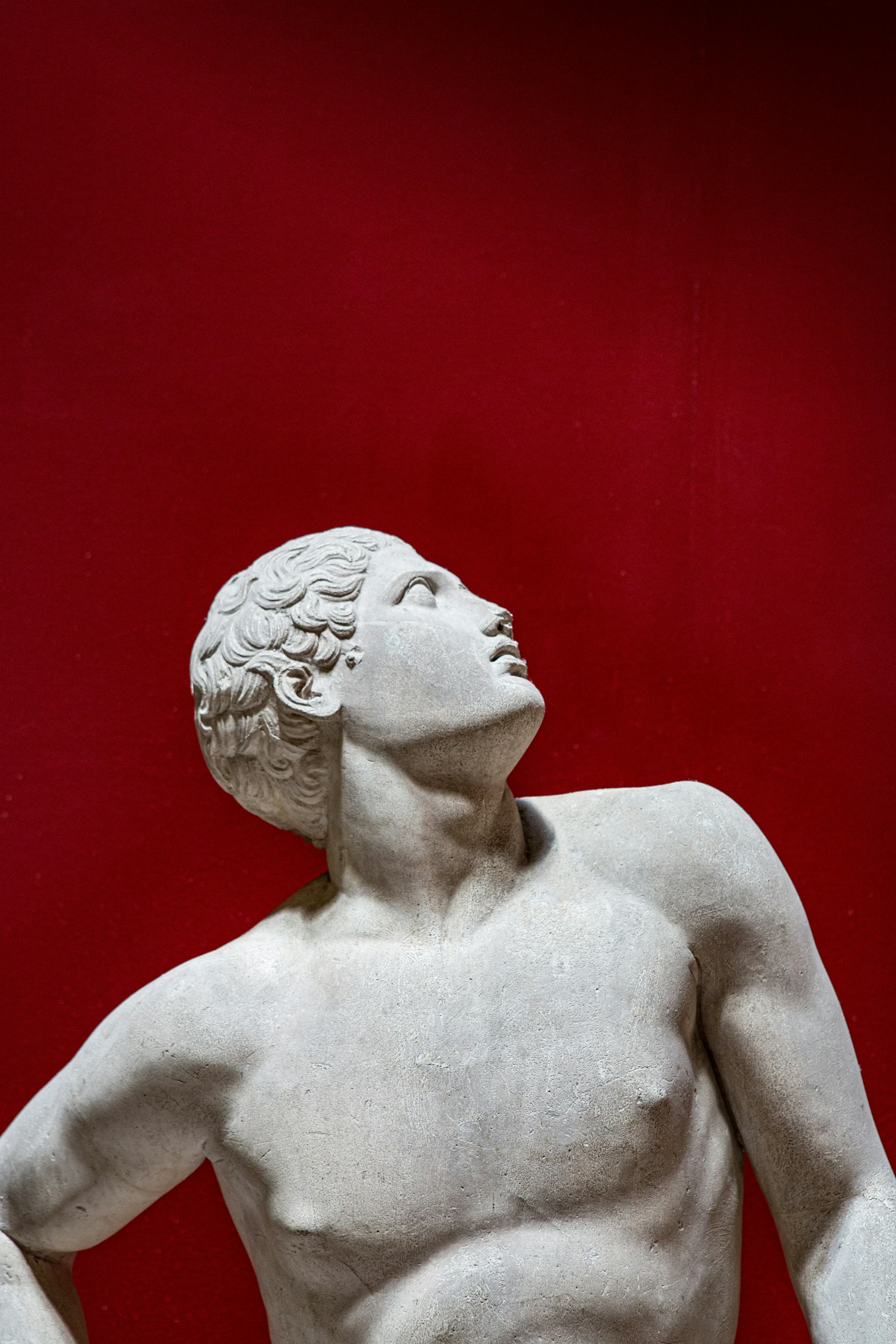 Classical Grecian sculpture gazing upward