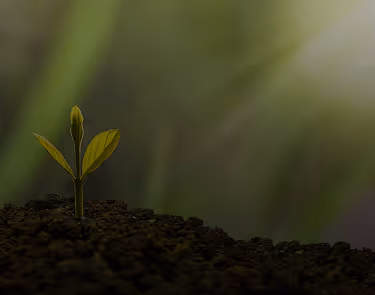 Secondary Transactions — Acquiring Existing Stakes