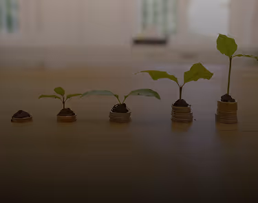 Primary Investments — Direct Cap Table Entry