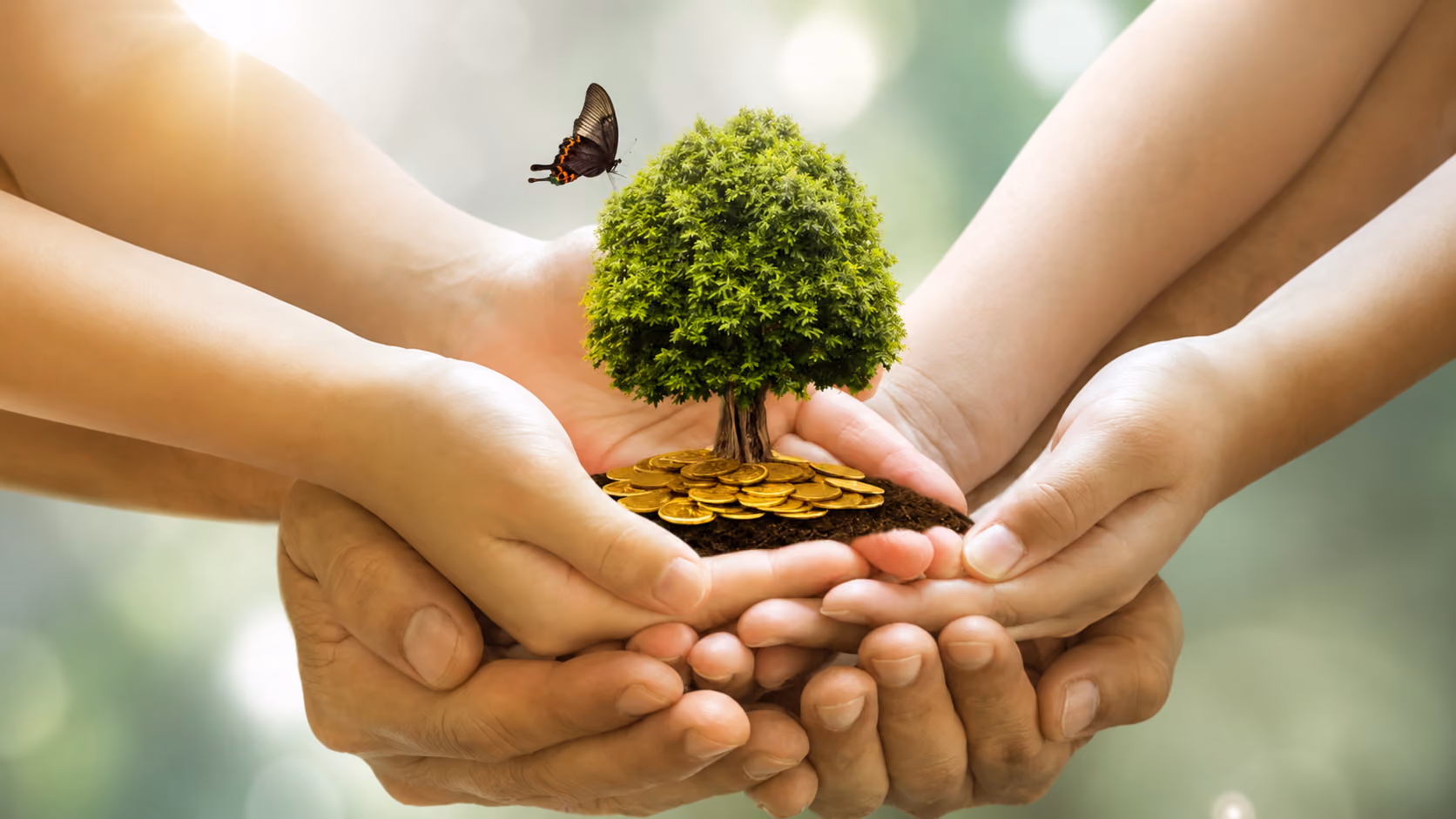 Tax, Trust & Estate Planning