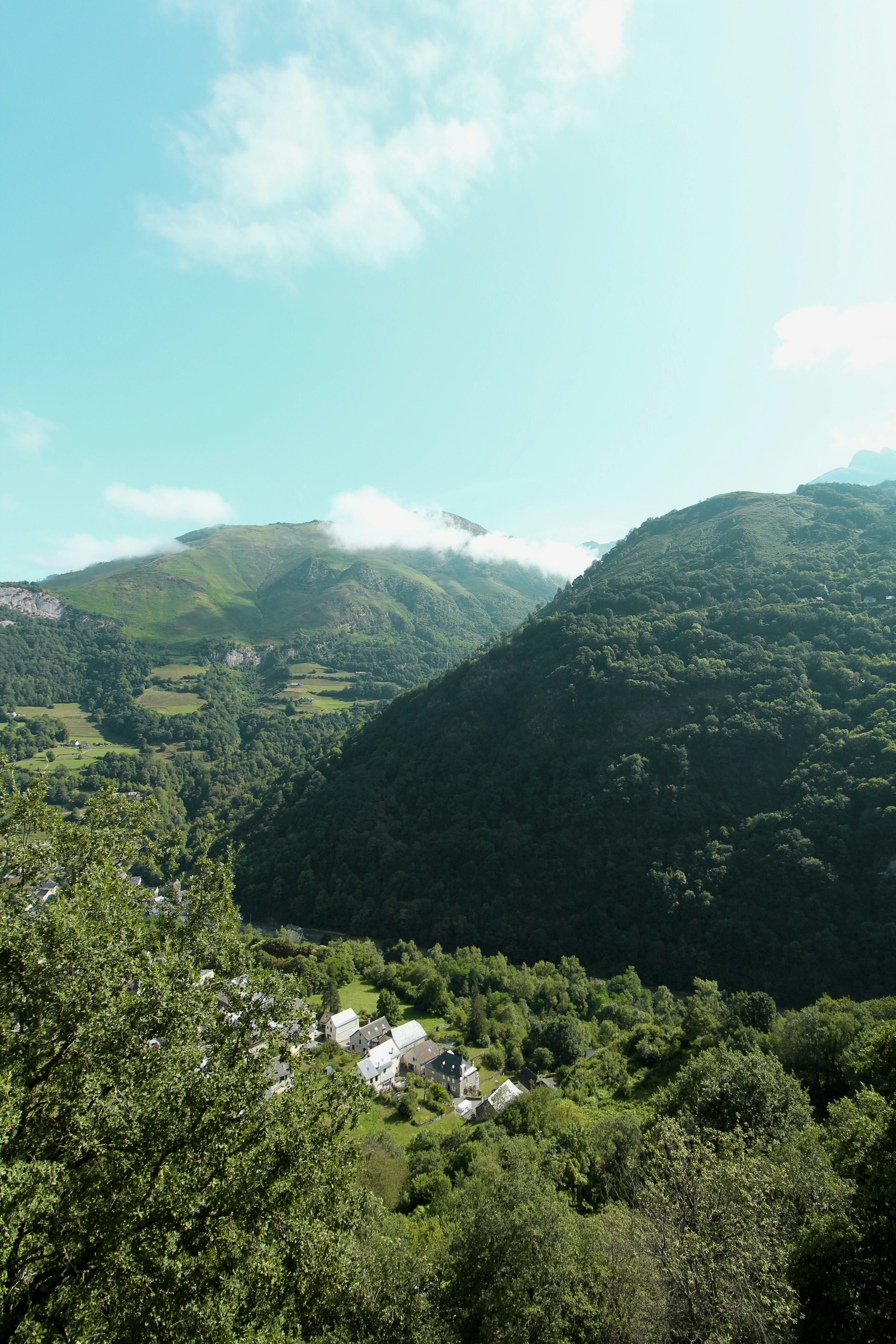 The Pyrenees, Read Honestly