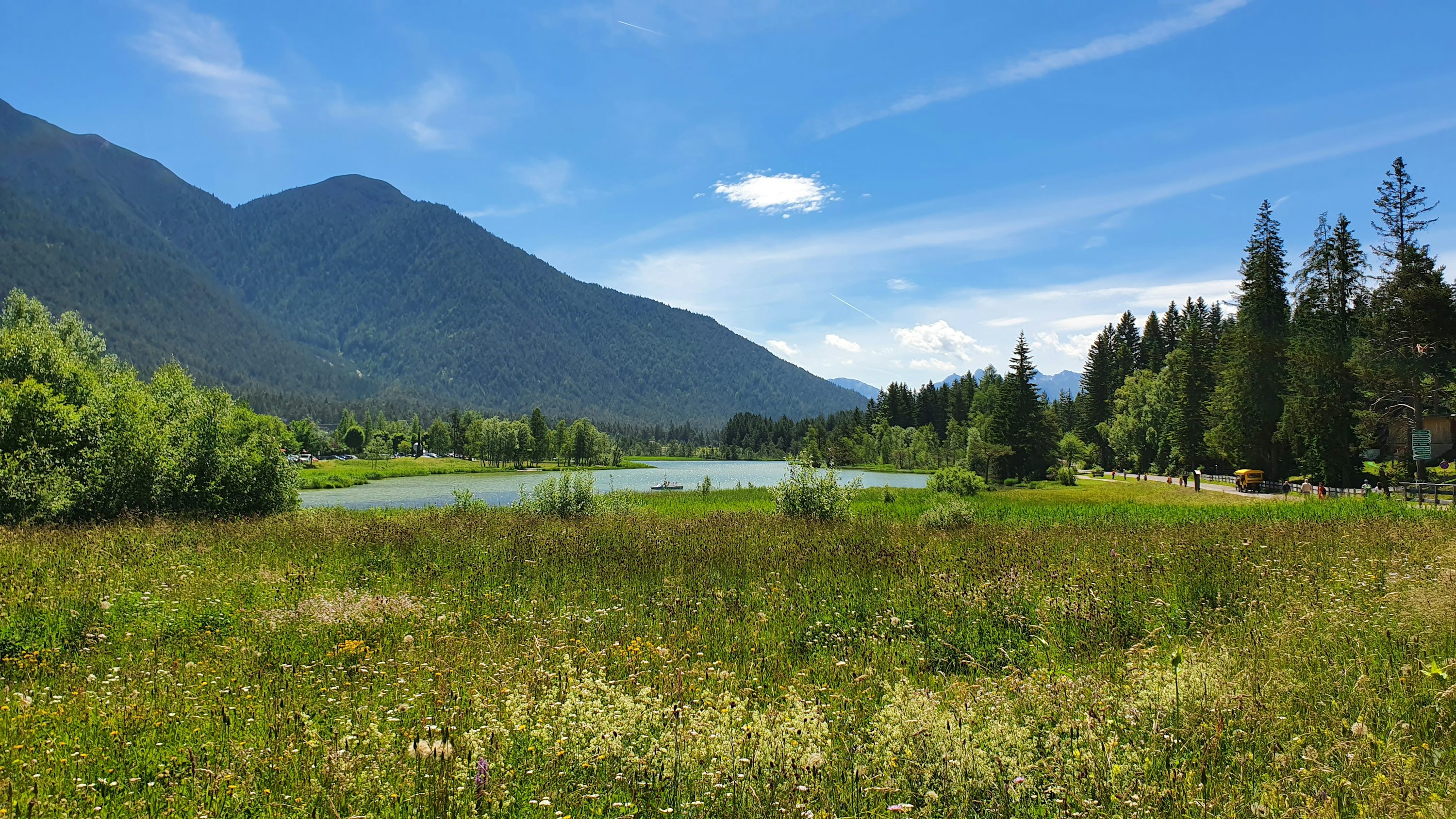 The Austrian Alps, Read Honestly