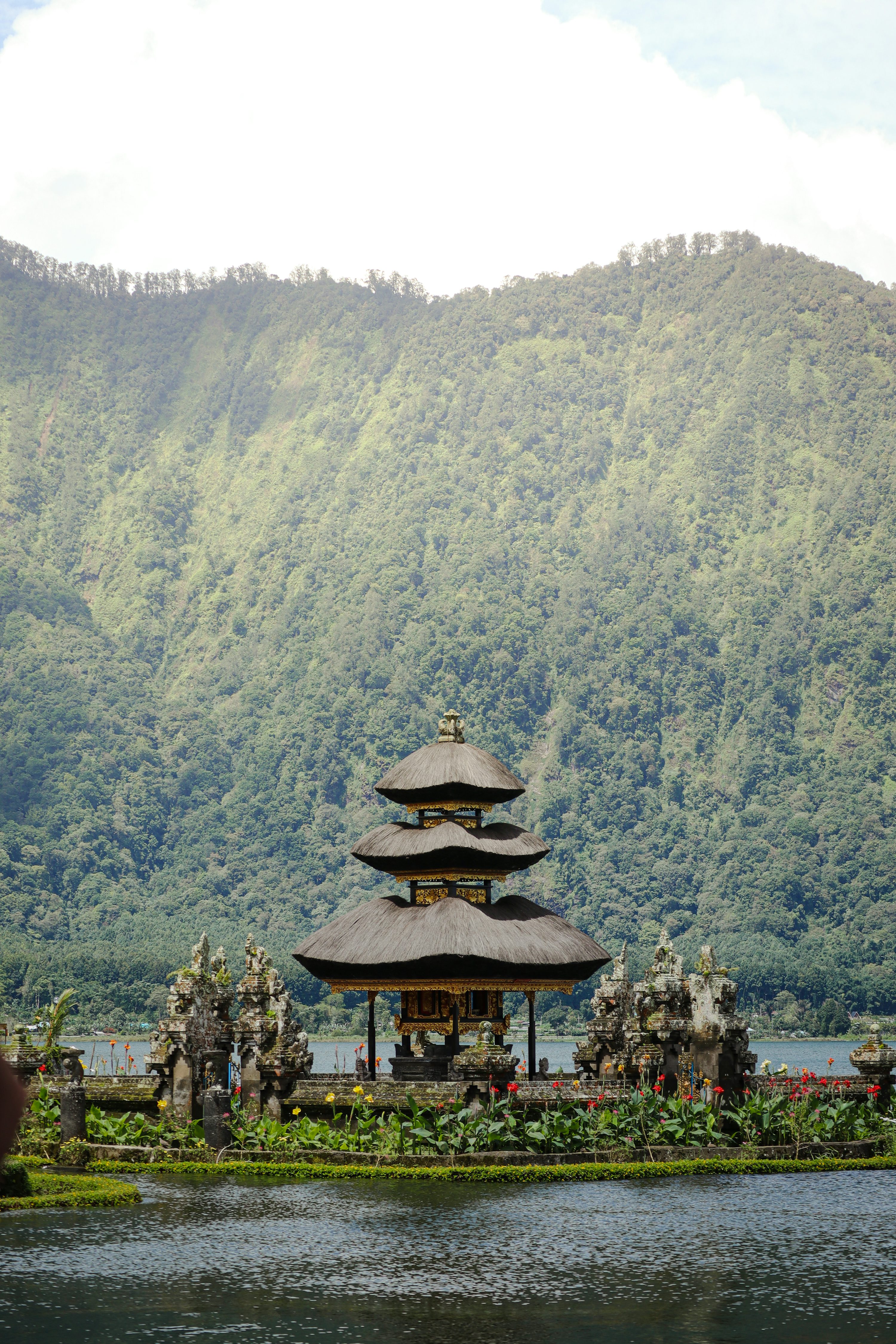 Bali, Read Honestly