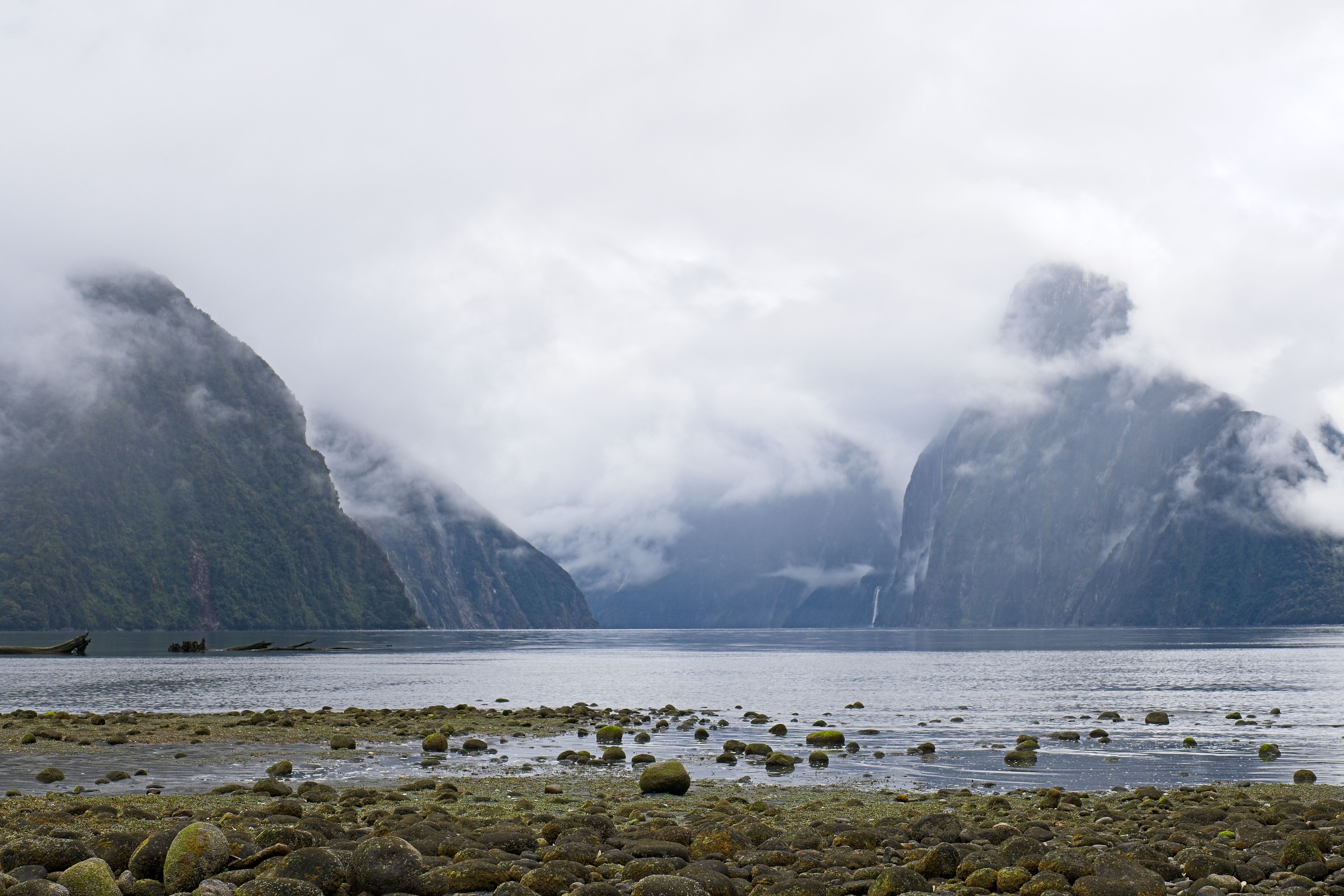New Zealand Read Honestly