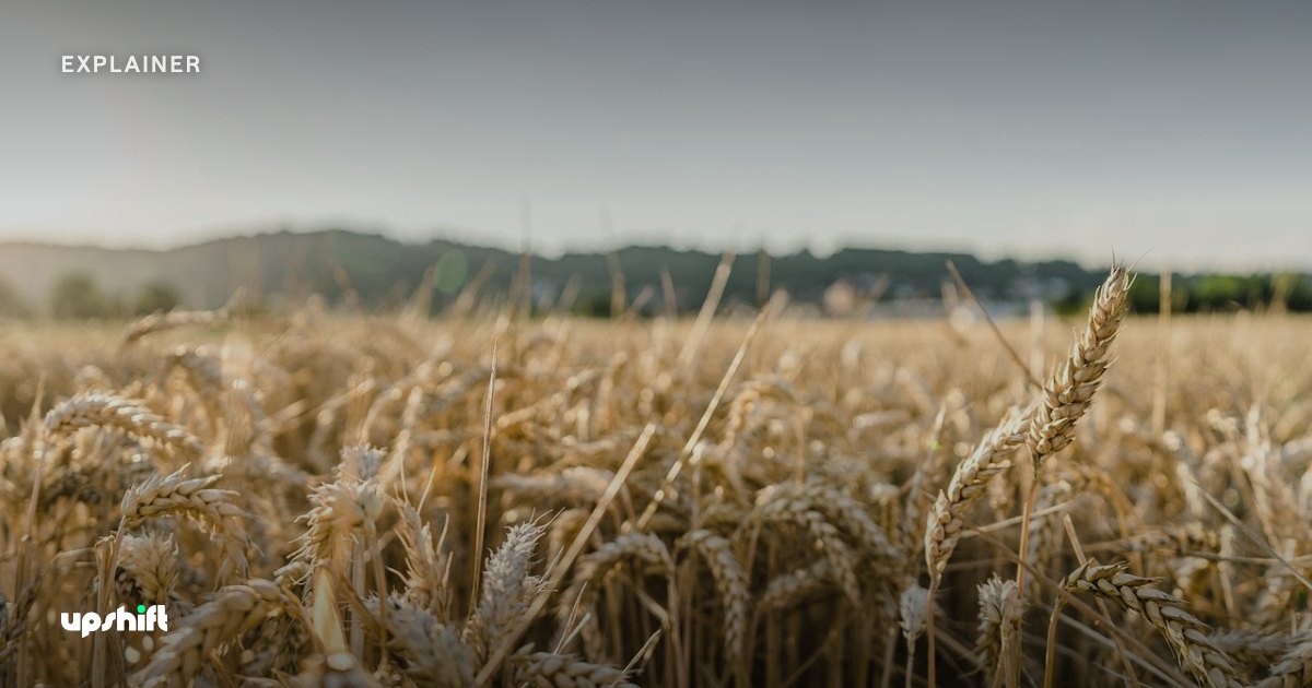 USDT yield: rates by venue and where the yield comes from
