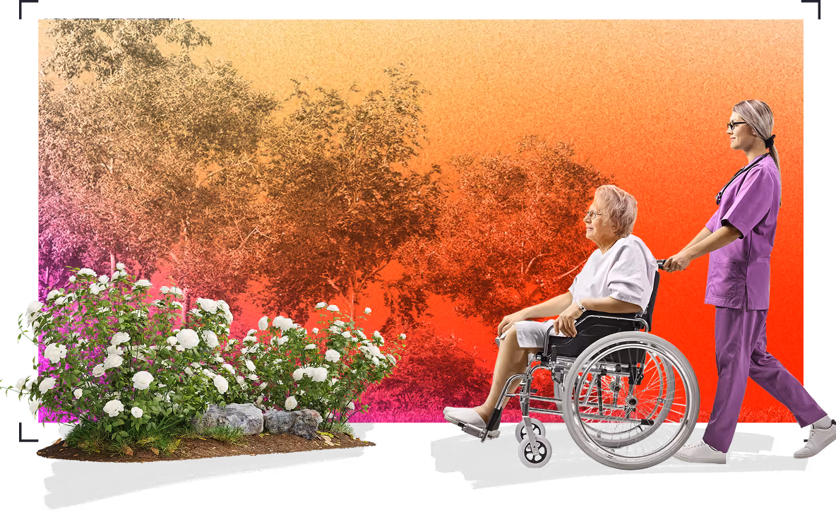 Care worker pushing a patient in a wheelchair