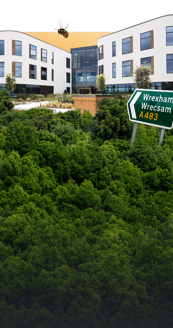 Modern office buildings with a large bee flying above lush green hedgerow and a Wrexham road sign.