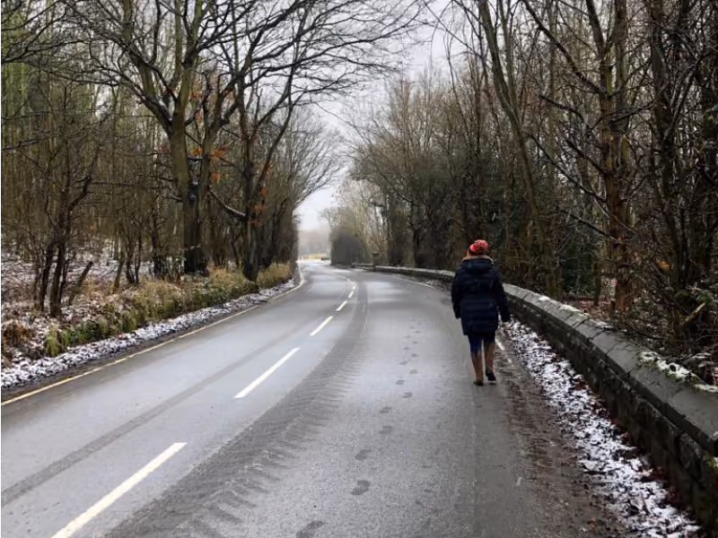 Person in red hat walking alone on a wet road beside a low stone wall and bare trees in winter.