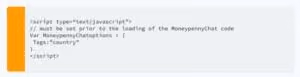 Code snippet showing a JavaScript script block defining a variable named HoneypennyChartOptions with a tags object containing a country property.