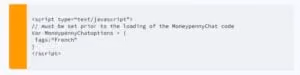 Code snippet showing a JavaScript script tag with a variable 'honeypennyChatOptions' set to an object with the property 'Tags' assigned the value 'french'.